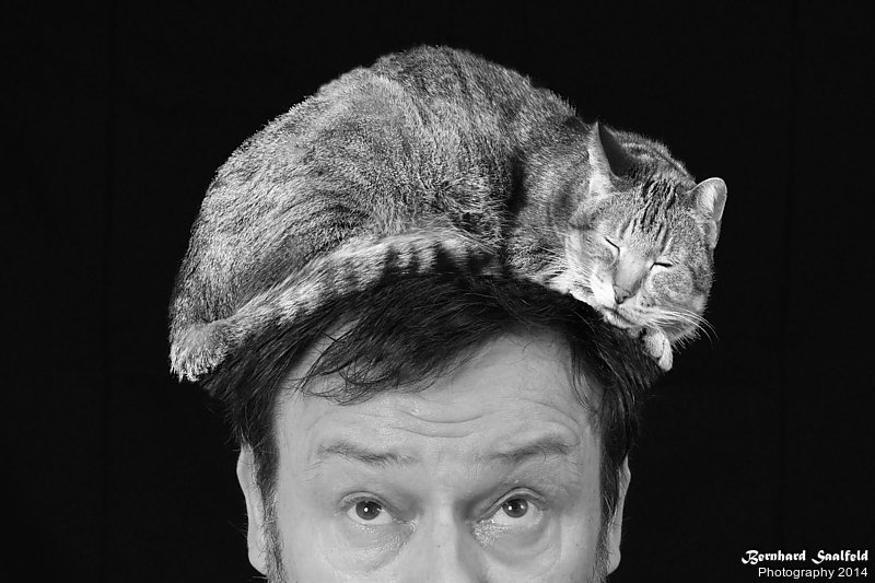 Bernhard Saalfeld - GI - Tierfrisuren
